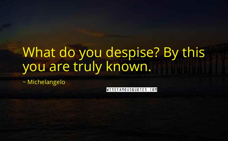 Michelangelo Quotes: What do you despise? By this you are truly known.