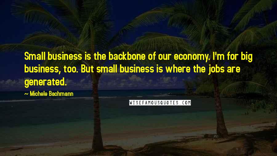 Michele Bachmann Quotes: Small business is the backbone of our economy. I'm for big business, too. But small business is where the jobs are generated.