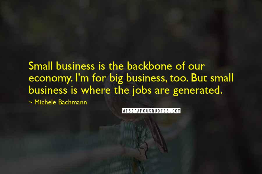 Michele Bachmann Quotes: Small business is the backbone of our economy. I'm for big business, too. But small business is where the jobs are generated.