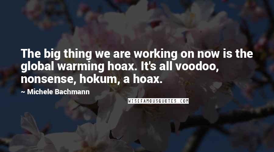 Michele Bachmann Quotes: The big thing we are working on now is the global warming hoax. It's all voodoo, nonsense, hokum, a hoax.