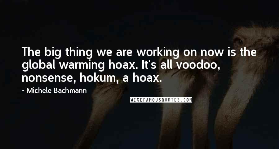 Michele Bachmann Quotes: The big thing we are working on now is the global warming hoax. It's all voodoo, nonsense, hokum, a hoax.