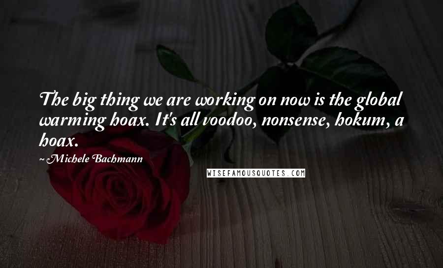 Michele Bachmann Quotes: The big thing we are working on now is the global warming hoax. It's all voodoo, nonsense, hokum, a hoax.