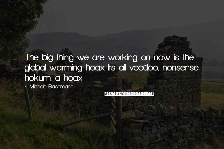 Michele Bachmann Quotes: The big thing we are working on now is the global warming hoax. It's all voodoo, nonsense, hokum, a hoax.