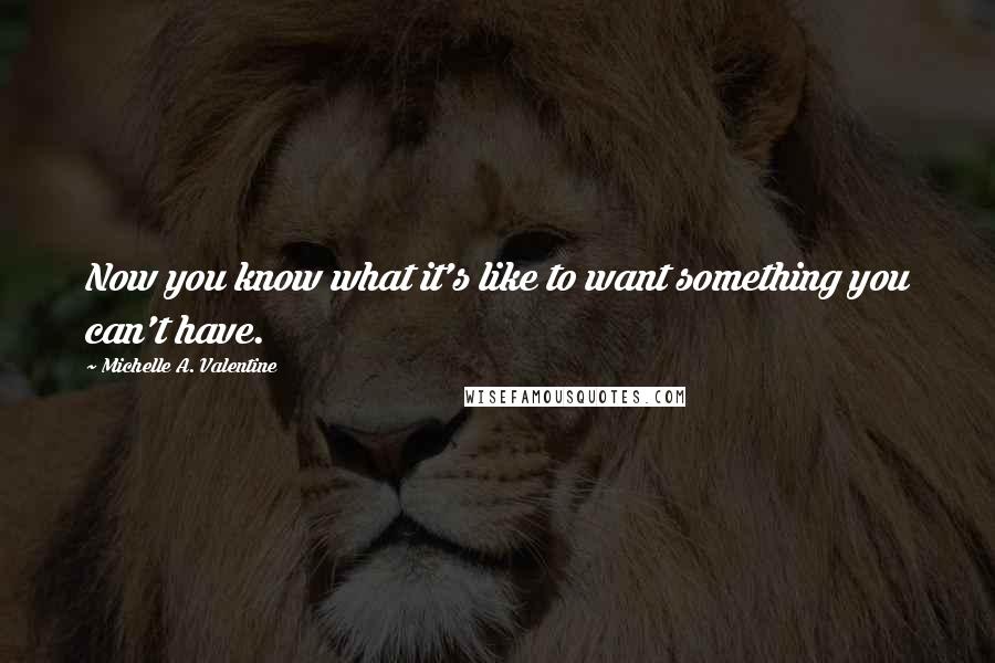 Michelle A. Valentine Quotes: Now you know what it's like to want something you can't have.