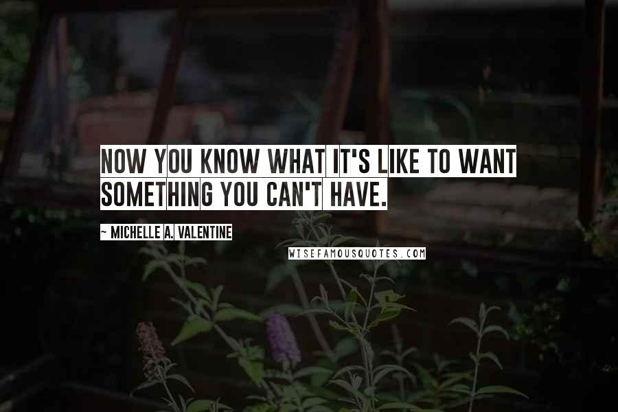 Michelle A. Valentine Quotes: Now you know what it's like to want something you can't have.