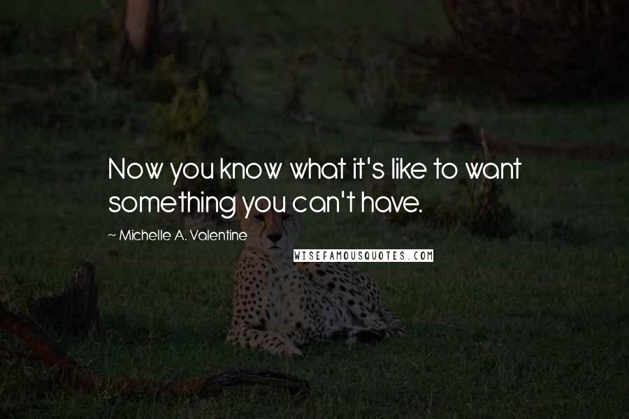 Michelle A. Valentine Quotes: Now you know what it's like to want something you can't have.