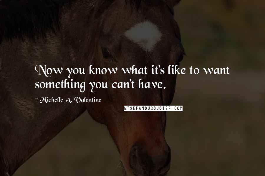 Michelle A. Valentine Quotes: Now you know what it's like to want something you can't have.
