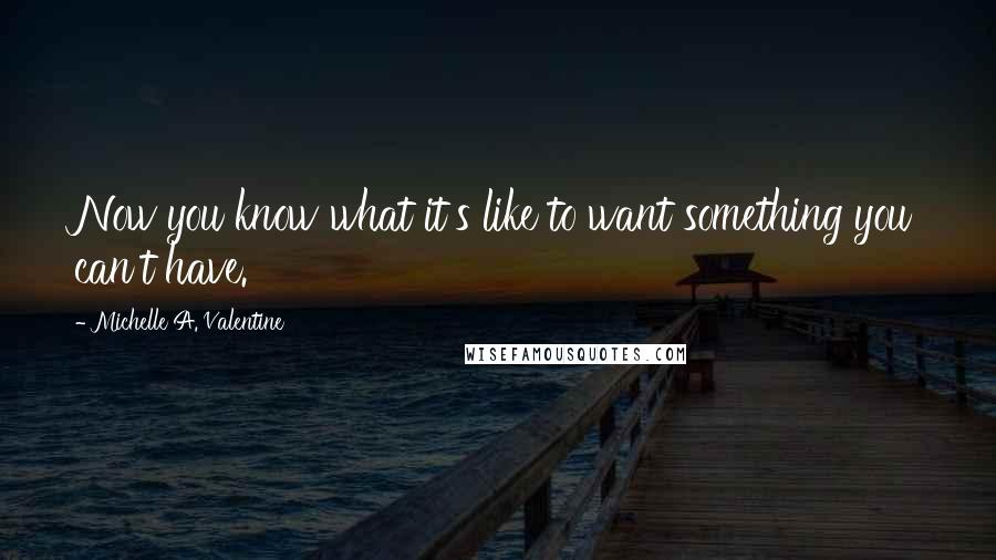 Michelle A. Valentine Quotes: Now you know what it's like to want something you can't have.