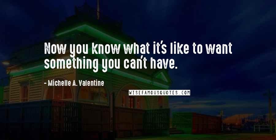 Michelle A. Valentine Quotes: Now you know what it's like to want something you can't have.