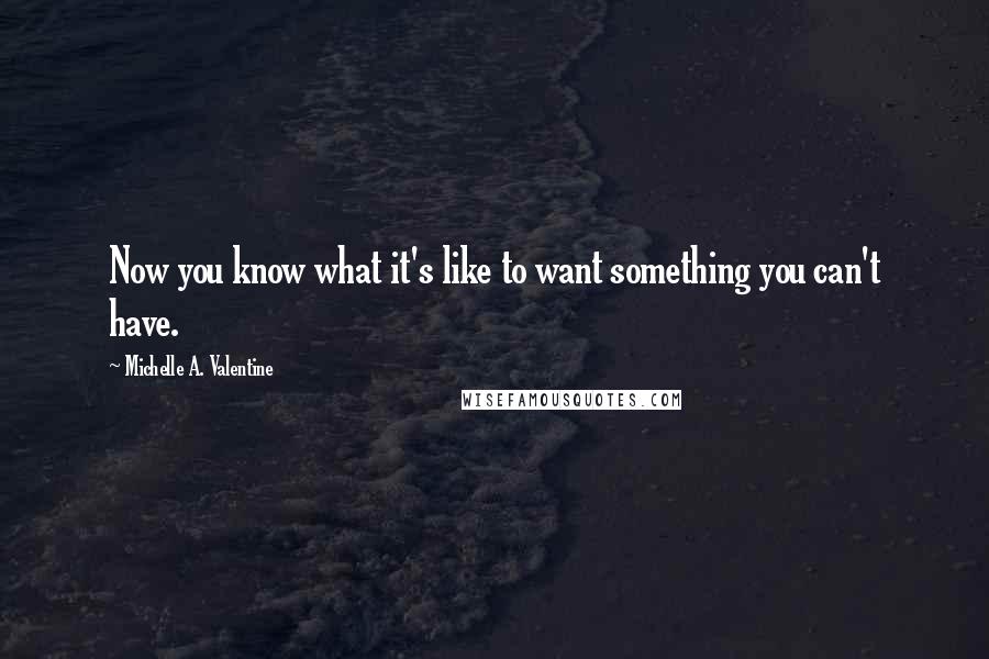 Michelle A. Valentine Quotes: Now you know what it's like to want something you can't have.