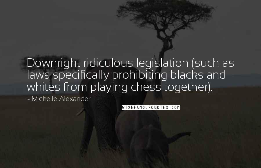 Michelle Alexander Quotes: Downright ridiculous legislation (such as laws specifically prohibiting blacks and whites from playing chess together).