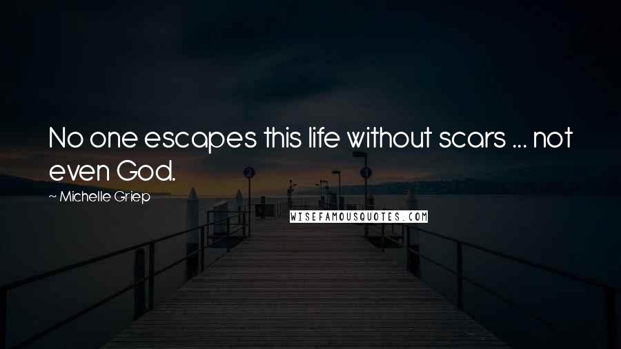 Michelle Griep Quotes: No one escapes this life without scars ... not even God.