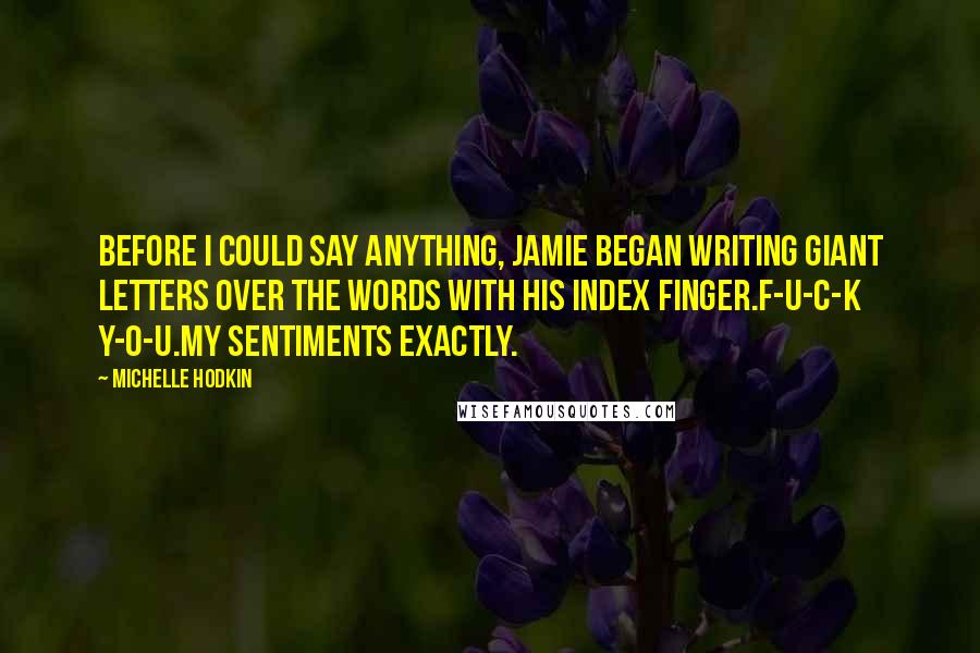 Michelle Hodkin Quotes: Before I could say anything, Jamie began writing giant letters over the words with his index finger.F-U-C-K Y-O-U.My sentiments exactly.