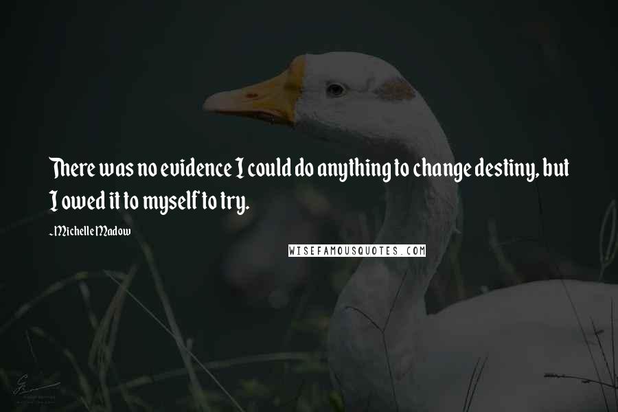 Michelle Madow Quotes: There was no evidence I could do anything to change destiny, but I owed it to myself to try.
