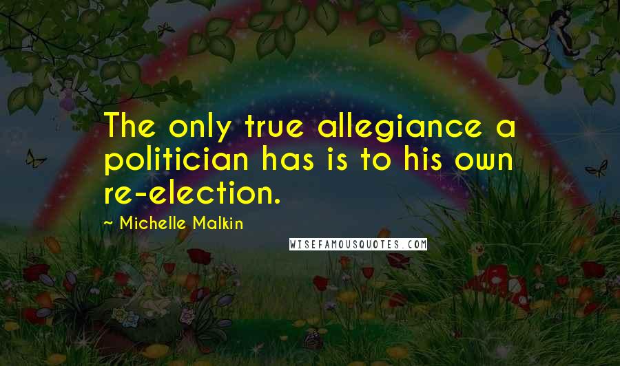 Michelle Malkin Quotes: The only true allegiance a politician has is to his own re-election.
