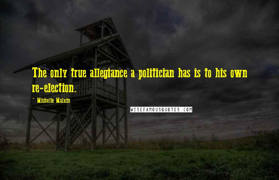Michelle Malkin Quotes: The only true allegiance a politician has is to his own re-election.