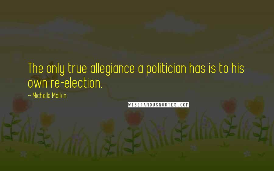 Michelle Malkin Quotes: The only true allegiance a politician has is to his own re-election.