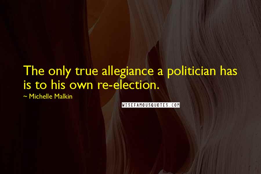 Michelle Malkin Quotes: The only true allegiance a politician has is to his own re-election.