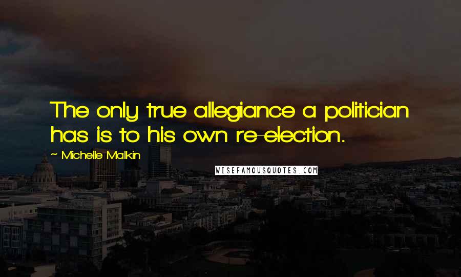 Michelle Malkin Quotes: The only true allegiance a politician has is to his own re-election.