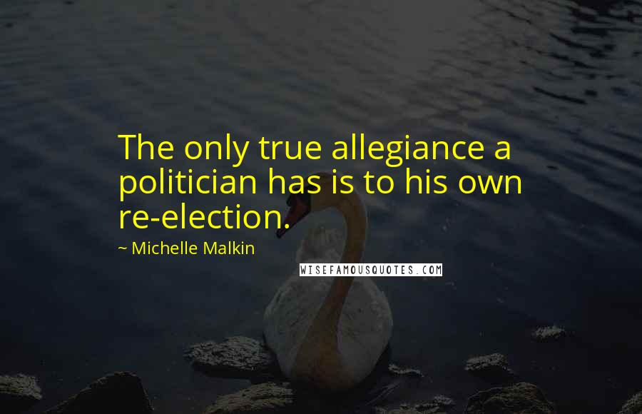 Michelle Malkin Quotes: The only true allegiance a politician has is to his own re-election.