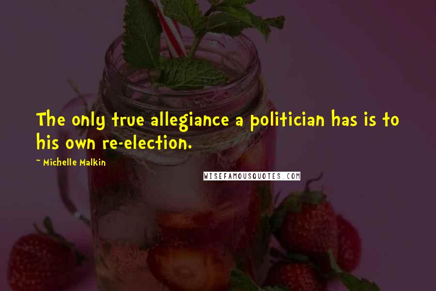 Michelle Malkin Quotes: The only true allegiance a politician has is to his own re-election.