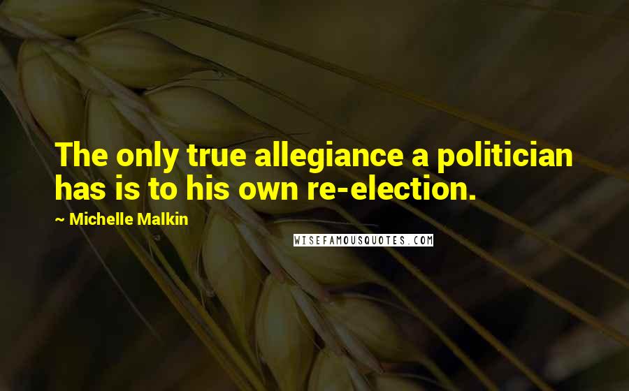 Michelle Malkin Quotes: The only true allegiance a politician has is to his own re-election.