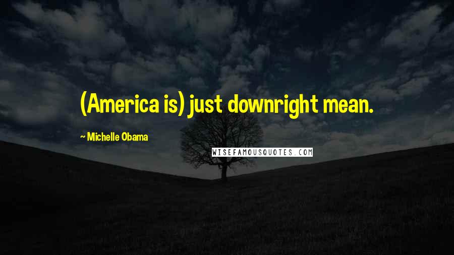 Michelle Obama Quotes: (America is) just downright mean.