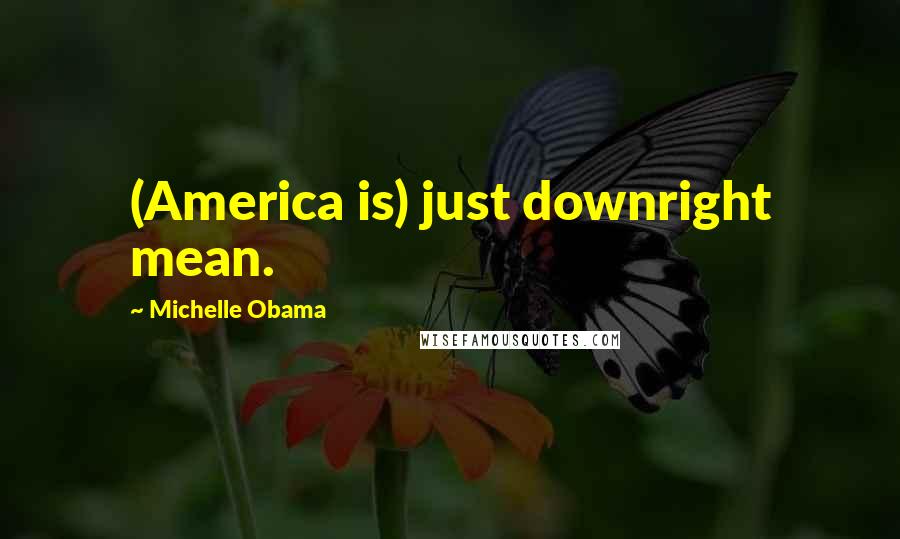 Michelle Obama Quotes: (America is) just downright mean.