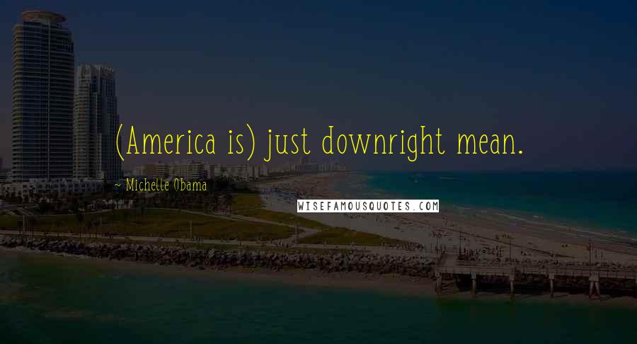 Michelle Obama Quotes: (America is) just downright mean.