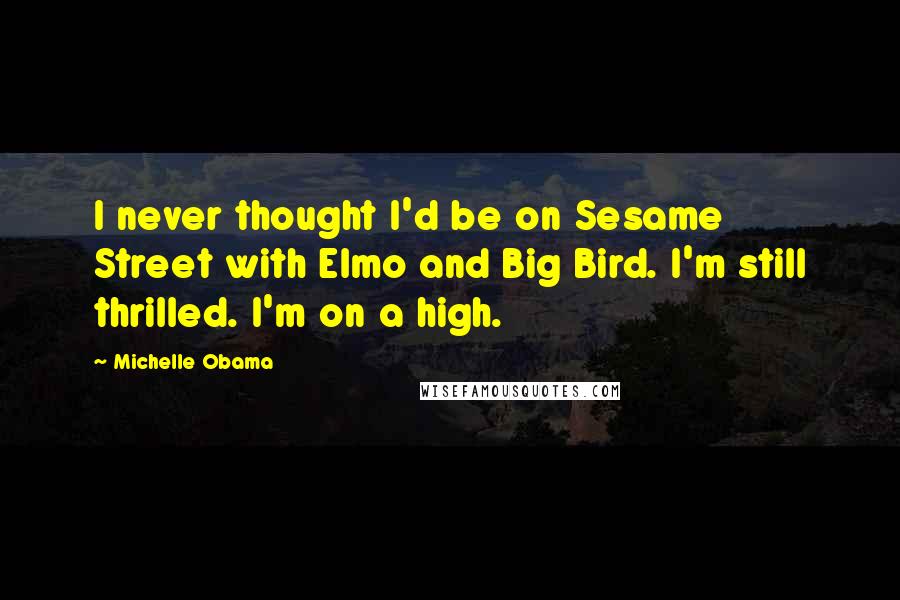 Michelle Obama Quotes: I never thought I'd be on Sesame Street with Elmo and Big Bird. I'm still thrilled. I'm on a high.