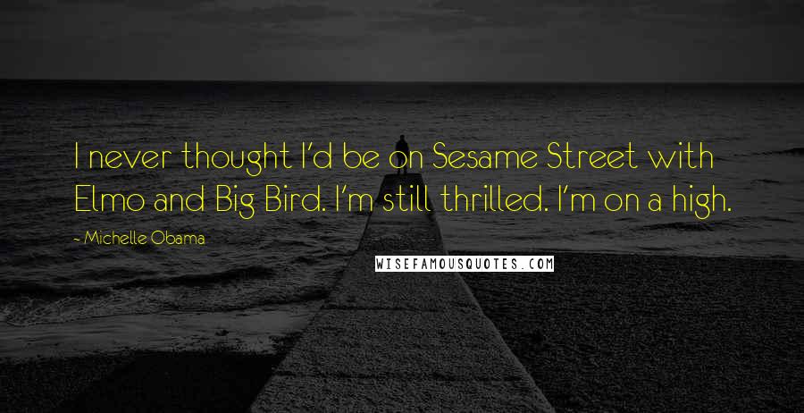 Michelle Obama Quotes: I never thought I'd be on Sesame Street with Elmo and Big Bird. I'm still thrilled. I'm on a high.