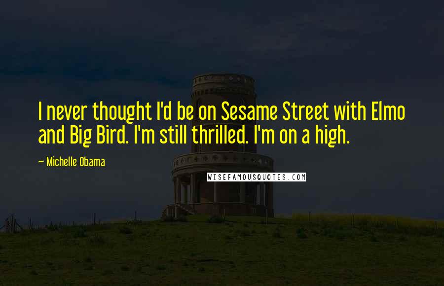 Michelle Obama Quotes: I never thought I'd be on Sesame Street with Elmo and Big Bird. I'm still thrilled. I'm on a high.