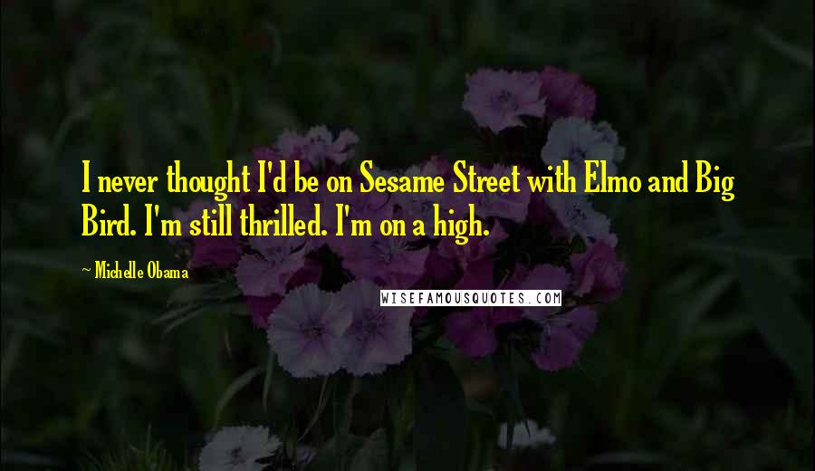 Michelle Obama Quotes: I never thought I'd be on Sesame Street with Elmo and Big Bird. I'm still thrilled. I'm on a high.