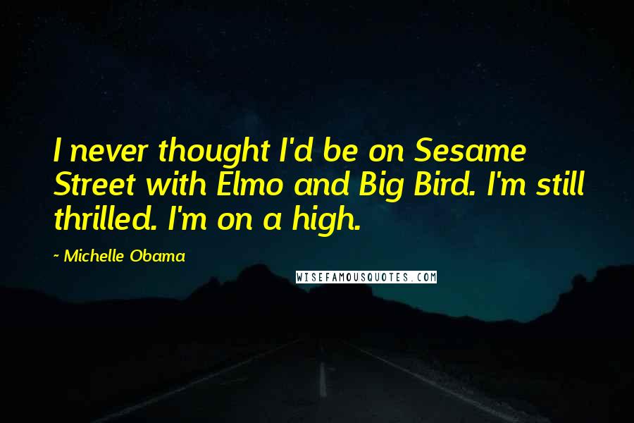 Michelle Obama Quotes: I never thought I'd be on Sesame Street with Elmo and Big Bird. I'm still thrilled. I'm on a high.