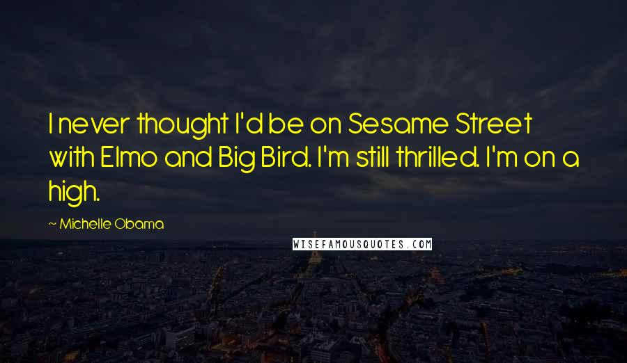 Michelle Obama Quotes: I never thought I'd be on Sesame Street with Elmo and Big Bird. I'm still thrilled. I'm on a high.