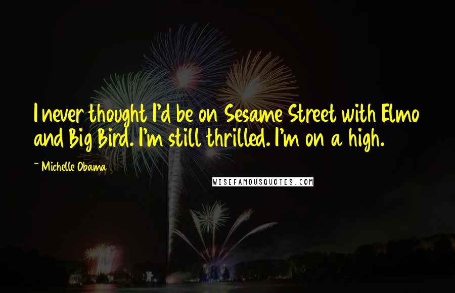 Michelle Obama Quotes: I never thought I'd be on Sesame Street with Elmo and Big Bird. I'm still thrilled. I'm on a high.