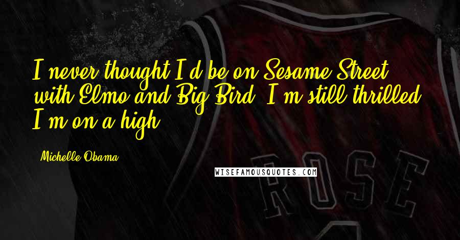 Michelle Obama Quotes: I never thought I'd be on Sesame Street with Elmo and Big Bird. I'm still thrilled. I'm on a high.