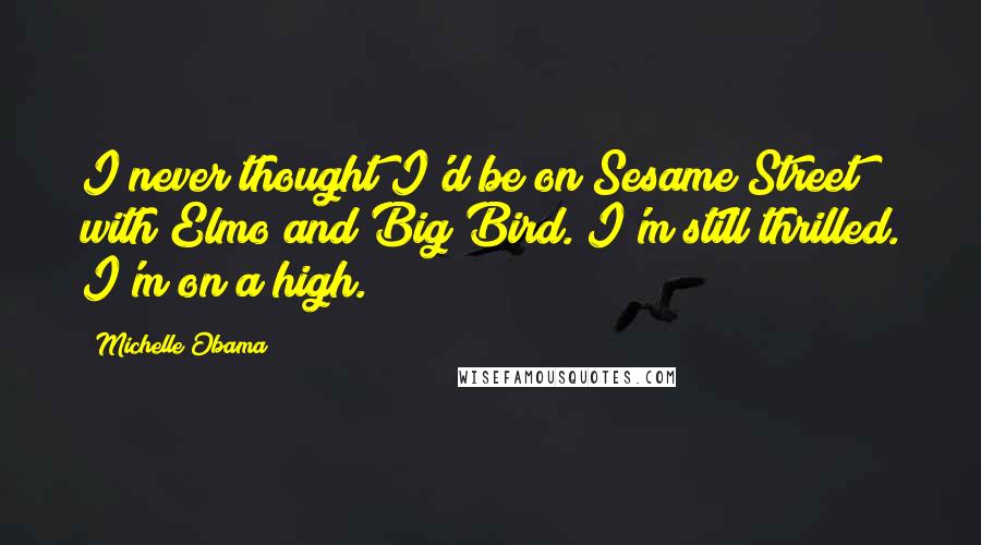 Michelle Obama Quotes: I never thought I'd be on Sesame Street with Elmo and Big Bird. I'm still thrilled. I'm on a high.