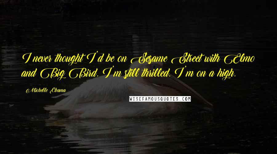 Michelle Obama Quotes: I never thought I'd be on Sesame Street with Elmo and Big Bird. I'm still thrilled. I'm on a high.