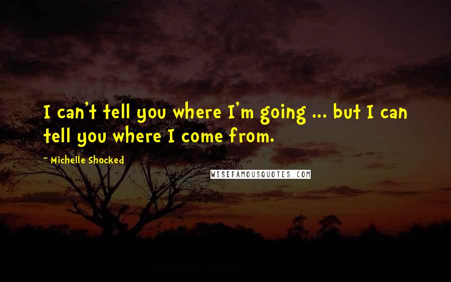 Michelle Shocked Quotes: I can't tell you where I'm going ... but I can tell you where I come from.