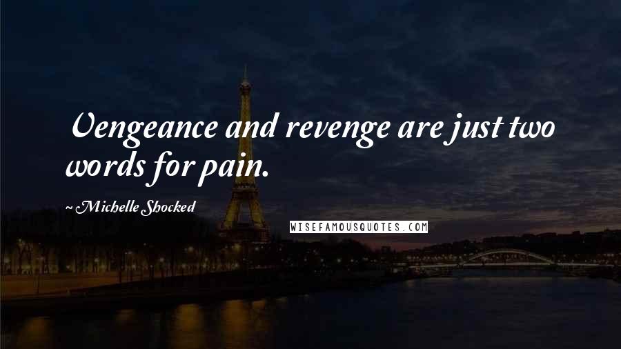 Michelle Shocked Quotes: Vengeance and revenge are just two words for pain.