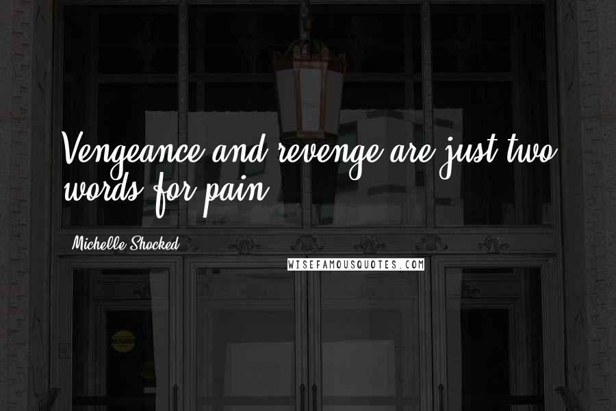 Michelle Shocked Quotes: Vengeance and revenge are just two words for pain.