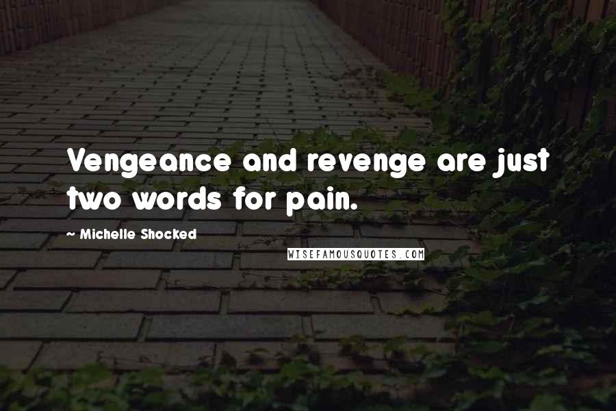Michelle Shocked Quotes: Vengeance and revenge are just two words for pain.