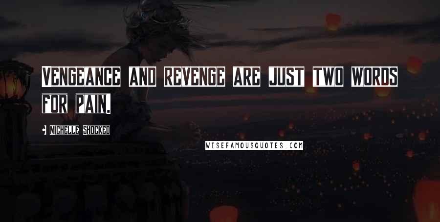 Michelle Shocked Quotes: Vengeance and revenge are just two words for pain.