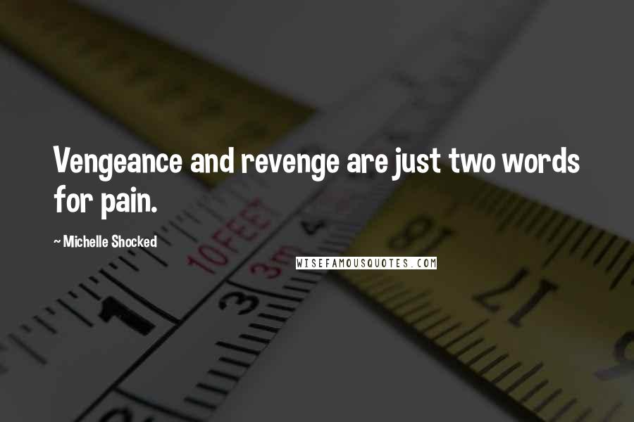 Michelle Shocked Quotes: Vengeance and revenge are just two words for pain.