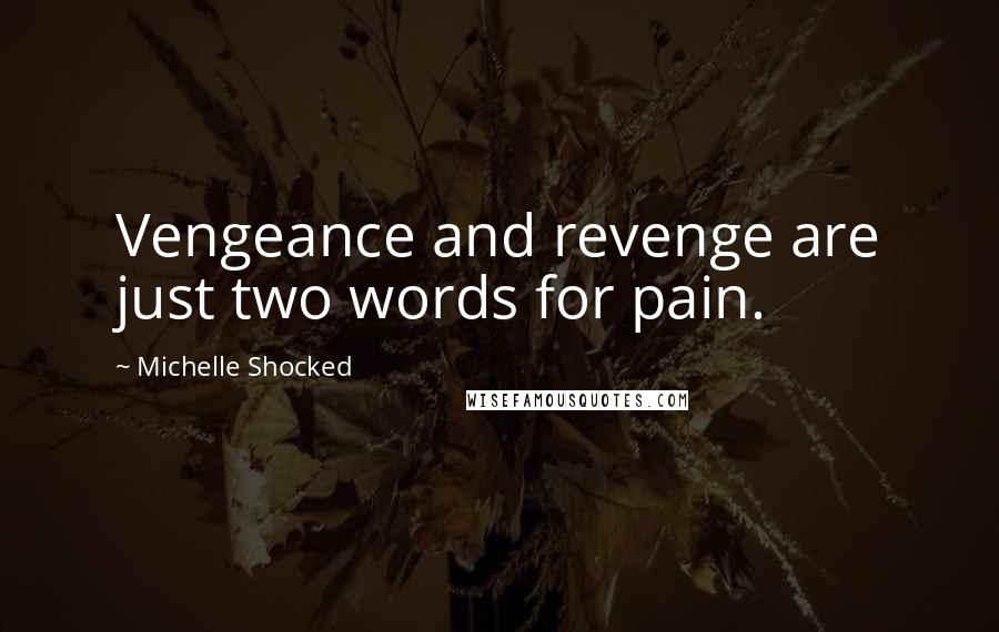 Michelle Shocked Quotes: Vengeance and revenge are just two words for pain.