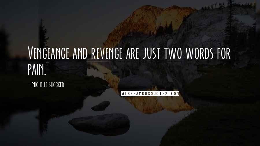 Michelle Shocked Quotes: Vengeance and revenge are just two words for pain.