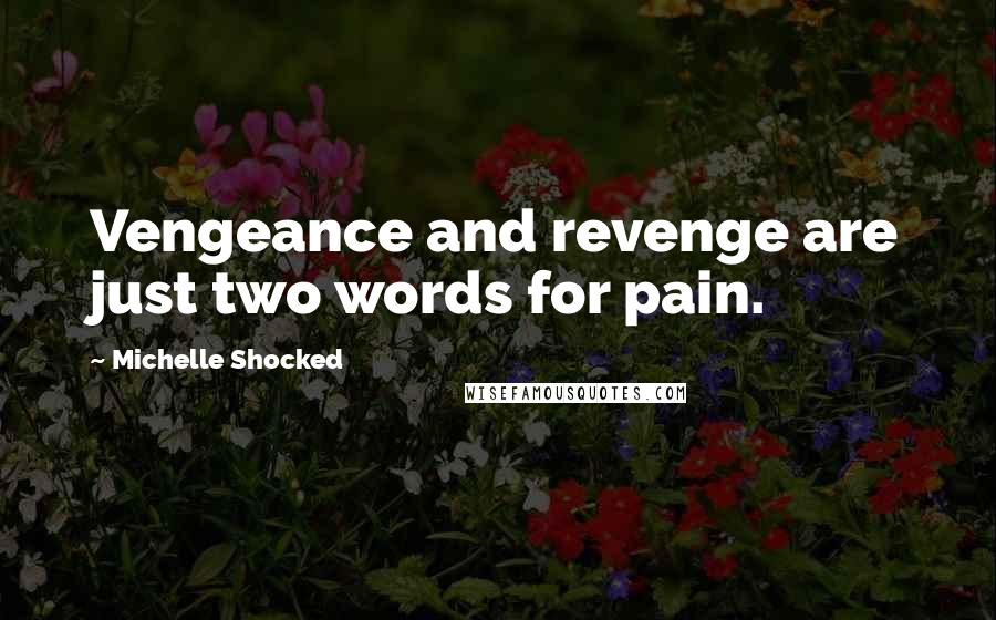 Michelle Shocked Quotes: Vengeance and revenge are just two words for pain.