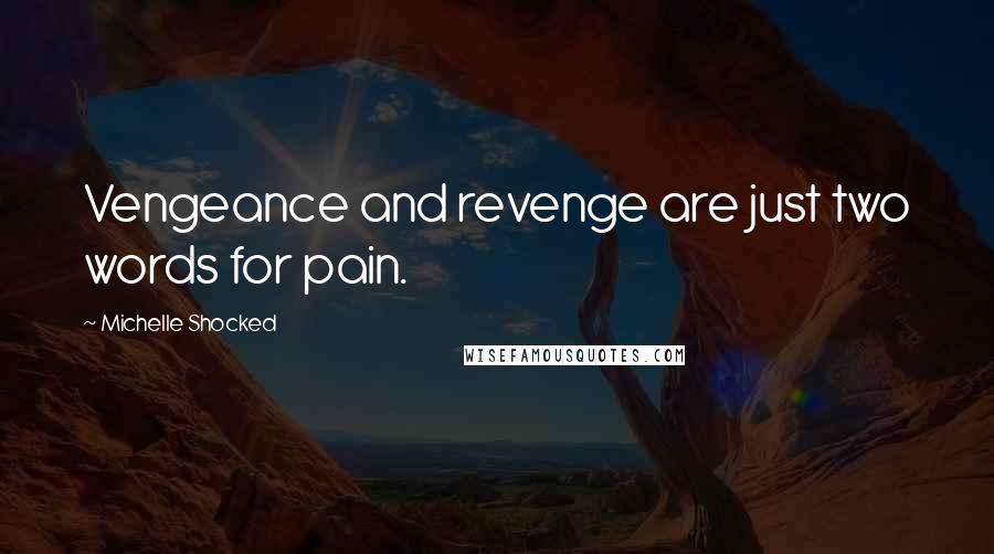 Michelle Shocked Quotes: Vengeance and revenge are just two words for pain.