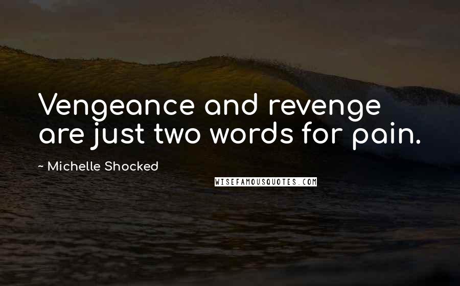 Michelle Shocked Quotes: Vengeance and revenge are just two words for pain.